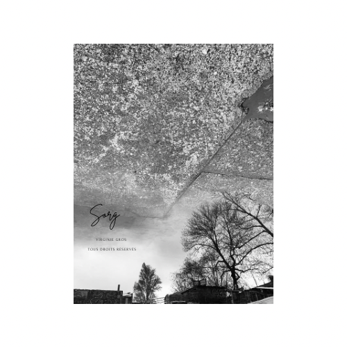 Photographie Éloge des formes @ Virginie Gros - RETOUCHE INTERDITE