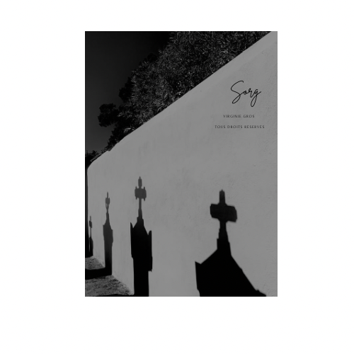 Photographie Éloge des formes @ Virginie Gros - RETOUCHE INTERDITE