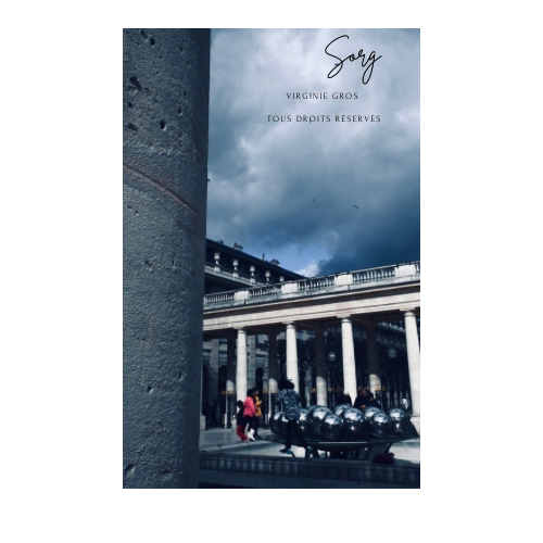 Photographie Liens @ Virginie Gros - RETOUCHE INTERDITE