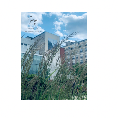 Photographie Transhumance @ Virginie Gros - RETOUCHE INTERDITE